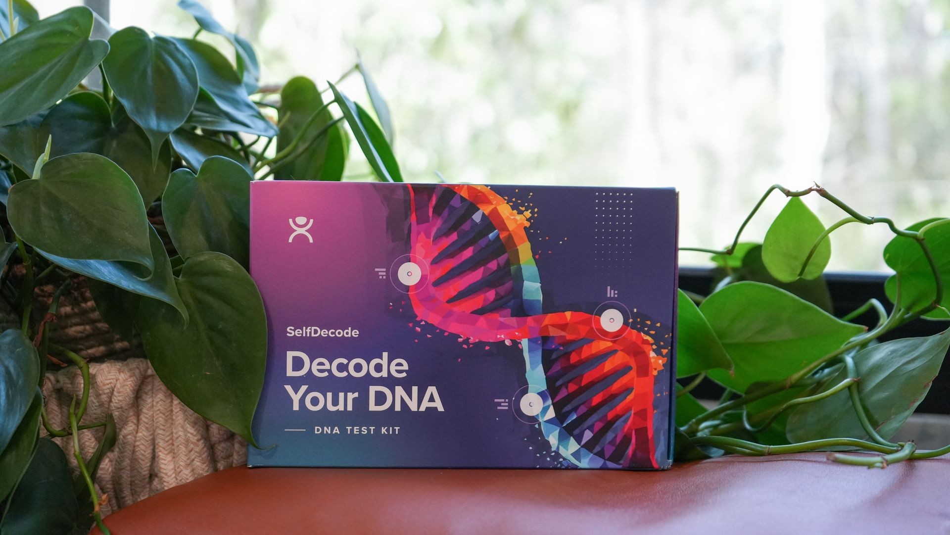 Don’t Have a DNA Test Yet?